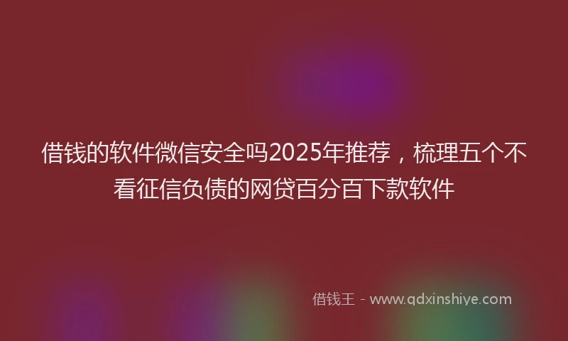 借钱的软件微信安全吗2025年推荐，梳理五个不看征信负债的网贷百分百下款软件