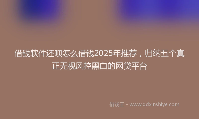 借钱软件还呗怎么借钱2025年推荐，归纳五个真正无视风控黑白的网贷平台