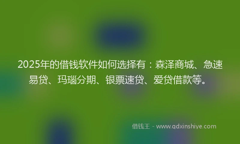 2025年的借钱软件如何选择有：森泽商城、急速易贷、玛瑙分期、银票速贷、爱贷借款等。