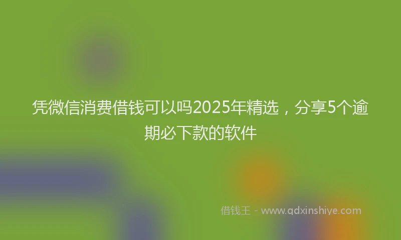 凭微信消费借钱可以吗2025年精选，分享5个逾期必下款的软件
