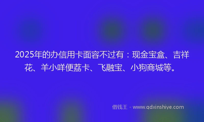 2025年的办信用卡面容不过有：现金宝盒、吉祥花、羊小咩便荔卡、飞融宝、小狗商城等。