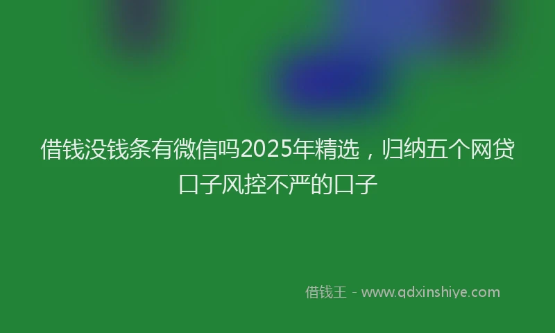 借钱没钱条有微信吗2025年精选，归纳五个网贷口子风控不严的口子