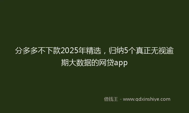 分多多不下款2025年精选，归纳5个真正无视逾期大数据的网贷app