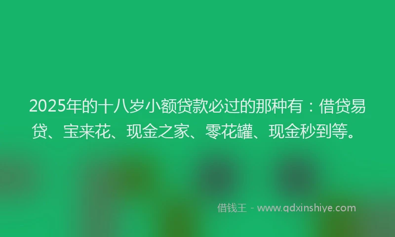 2025年的十八岁小额贷款必过的那种有：借贷易贷、宝来花、现金之家、零花罐、现金秒到等。