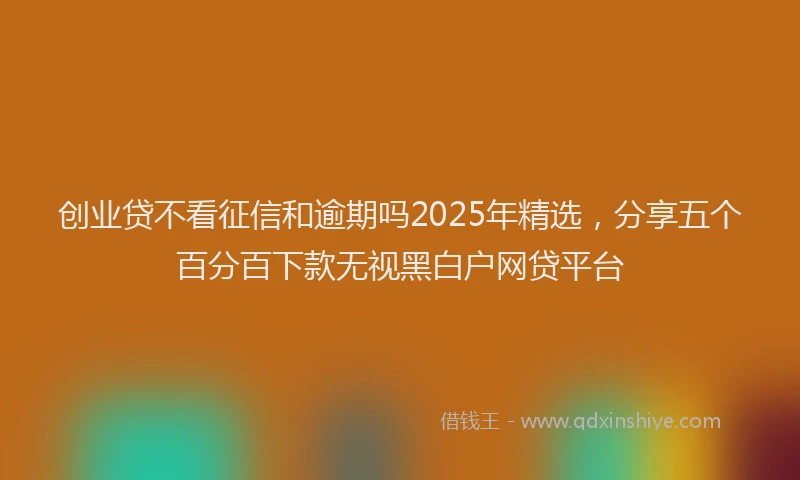 创业贷不看征信和逾期吗2025年精选，分享五个百分百下款无视黑白户网贷平台