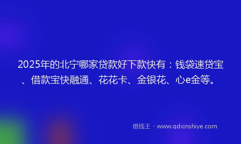2025年的北宁哪家贷款好下款快有：钱袋速贷宝、借款宝快融通、花花卡、金银花、心e金等。
