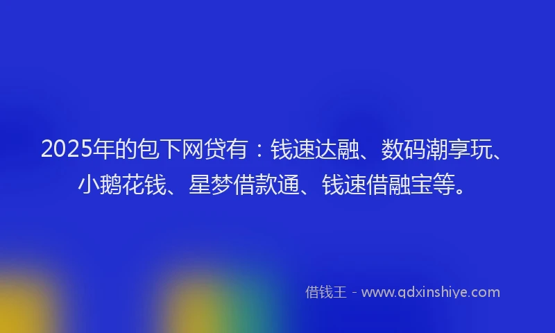 2025年的包下网贷有：钱速达融、数码潮享玩、小鹅花钱、星梦借款通、钱速借融宝等。