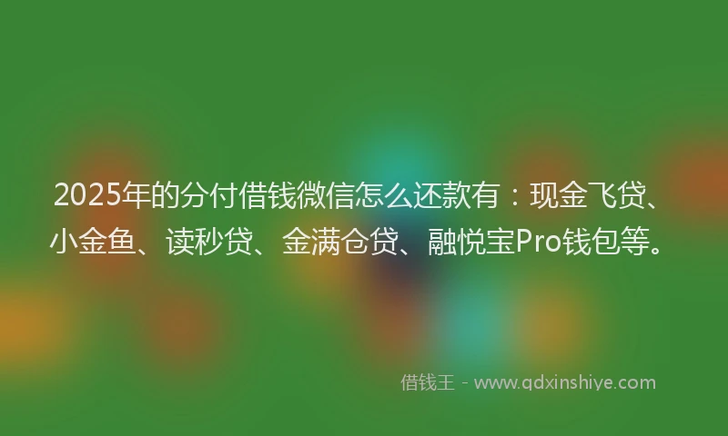 2025年的分付借钱微信怎么还款有：现金飞贷、小金鱼、读秒贷、金满仓贷、融悦宝Pro钱包等。