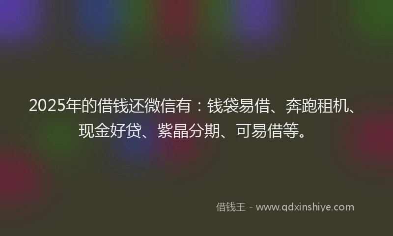 2025年的借钱还微信有：钱袋易借、奔跑租机、现金好贷、紫晶分期、可易借等。