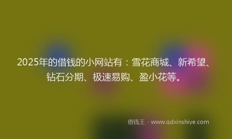 2025年的借钱的小网站有：雪花商城、新希望、钻石分期、极速易购、盈小花等。