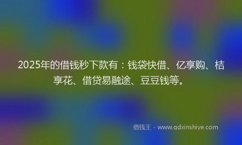 2025年的借钱秒下款有：钱袋快借、亿享购、桔享花、借贷易融途、豆豆钱等。