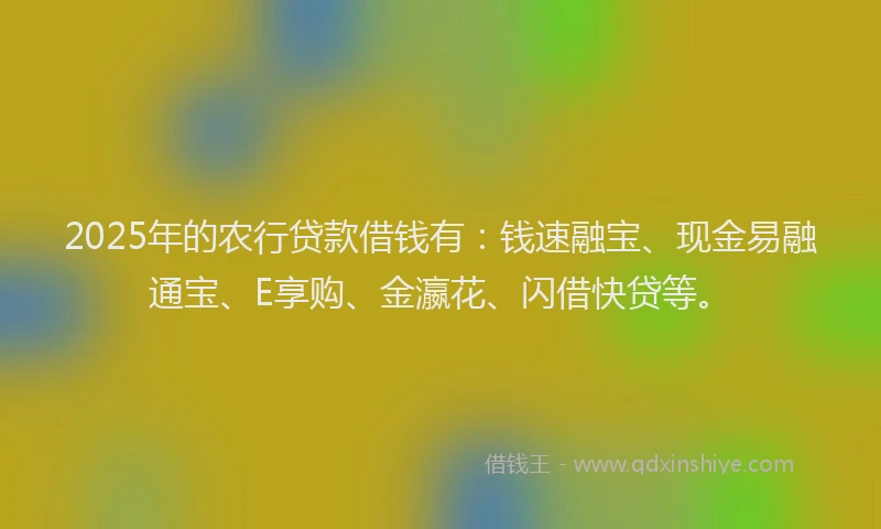 2025年的农行贷款借钱有：钱速融宝、现金易融通宝、E享购、金瀛花、闪借快贷等。
