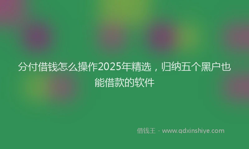 分付借钱怎么操作2025年精选，归纳五个黑户也能借款的软件