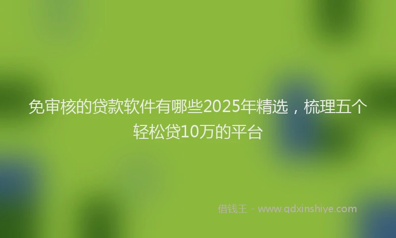免审核的贷款软件有哪些2025年精选，梳理五个轻松贷10万的平台