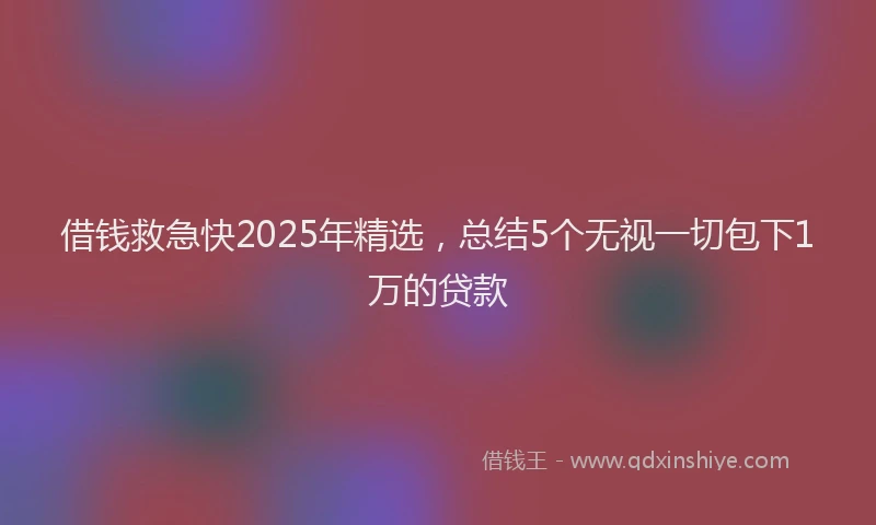 借钱救急快2025年精选，总结5个无视一切包下1万的贷款