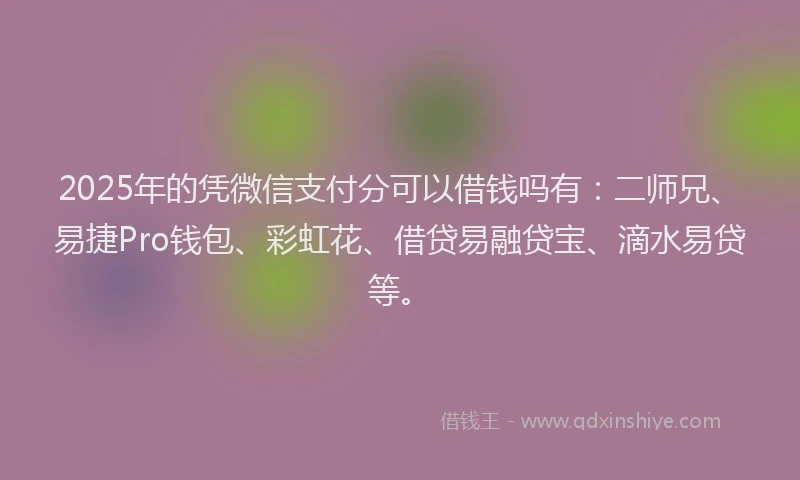 2025年的凭微信支付分可以借钱吗有：二师兄、易捷Pro钱包、彩虹花、借贷易融贷宝、滴水易贷等。