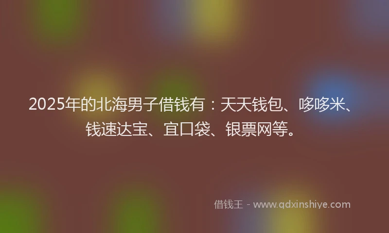 2025年的北海男子借钱有：天天钱包、哆哆米、钱速达宝、宜口袋、银票网等。