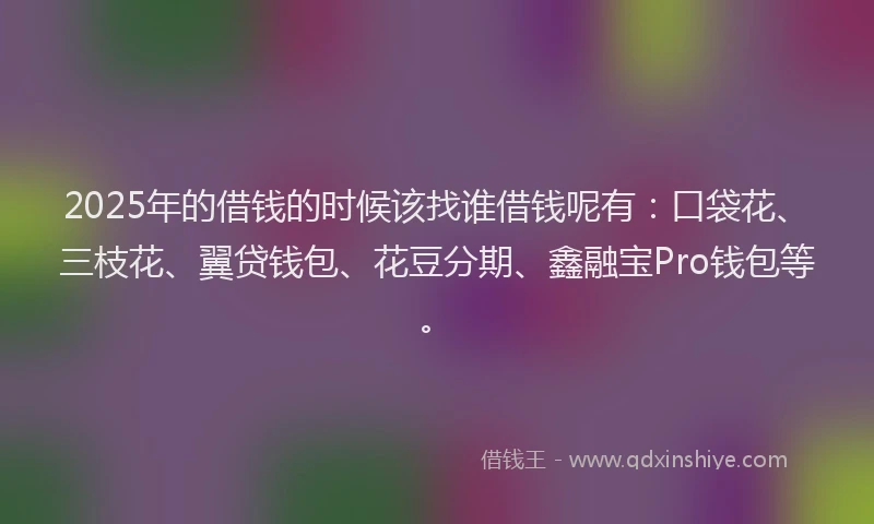 2025年的借钱的时候该找谁借钱呢有：口袋花、三枝花、翼贷钱包、花豆分期、鑫融宝Pro钱包等。