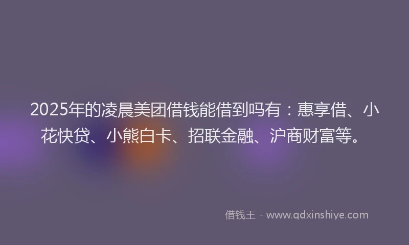 2025年的凌晨美团借钱能借到吗有：惠享借、小花快贷、小熊白卡、招联金融、沪商财富等。
