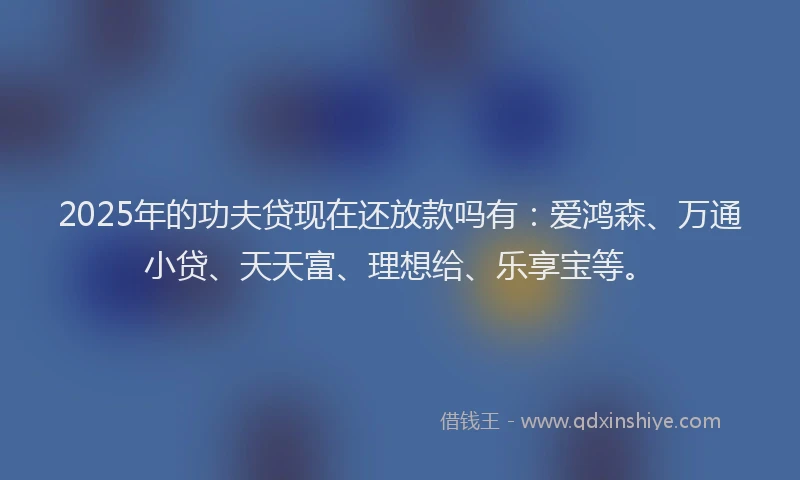 2025年的功夫贷现在还放款吗有：爱鸿森、万通小贷、天天富、理想给、乐享宝等。