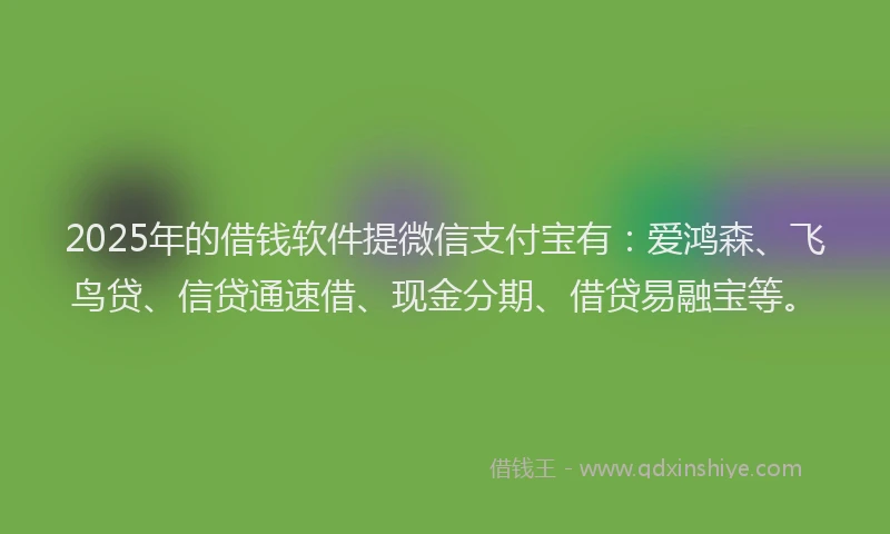 2025年的借钱软件提微信支付宝有：爱鸿森、飞鸟贷、信贷通速借、现金分期、借贷易融宝等。