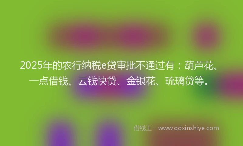 2025年的农行纳税e贷审批不通过有：葫芦花、一点借钱、云钱快贷、金银花、琉璃贷等。