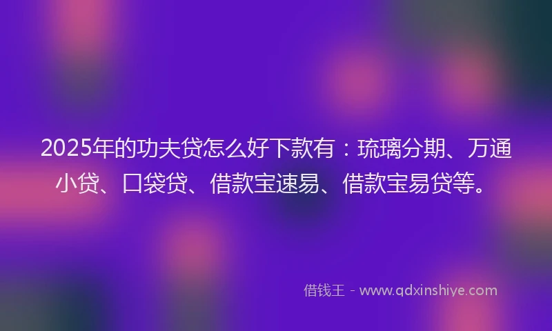 2025年的功夫贷怎么好下款有：琉璃分期、万通小贷、口袋贷、借款宝速易、借款宝易贷等。