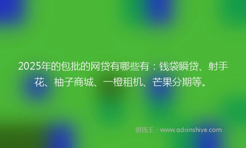 2025年的包批的网贷有哪些有：钱袋瞬贷、射手花、柚子商城、一橙租机、芒果分期等。