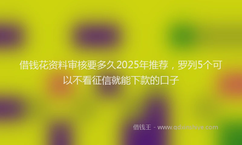 借钱花资料审核要多久2025年推荐，罗列5个可以不看征信就能下款的口子