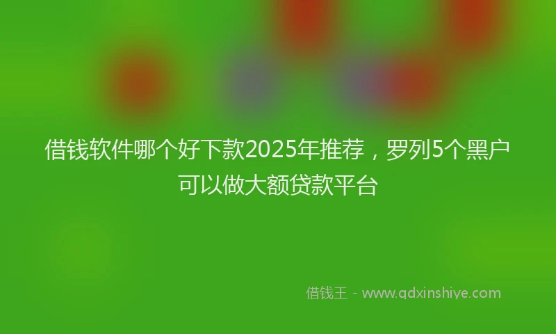 借钱软件哪个好下款2025年推荐，罗列5个黑户可以做大额贷款平台
