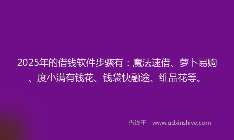 2025年的借钱软件步骤有：魔法速借、萝卜易购、度小满有钱花、钱袋快融途、维品花等。