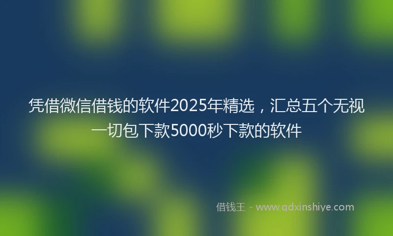 凭借微信借钱的软件2025年精选，汇总五个无视一切包下款5000秒下款的软件