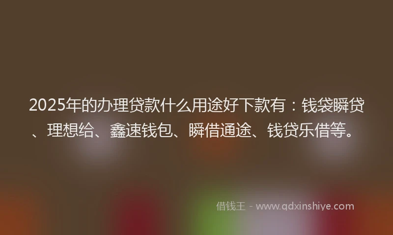 2025年的办理贷款什么用途好下款有：钱袋瞬贷、理想给、鑫速钱包、瞬借通途、钱贷乐借等。