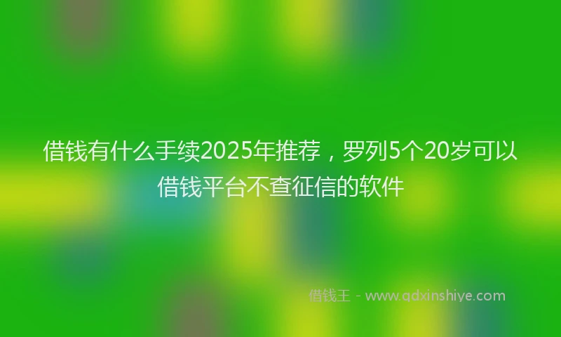 借钱有什么手续2025年推荐，罗列5个20岁可以借钱平台不查征信的软件
