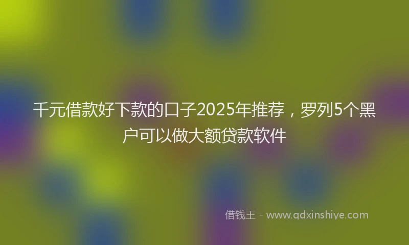 千元借款好下款的口子2025年推荐，罗列5个黑户可以做大额贷款软件