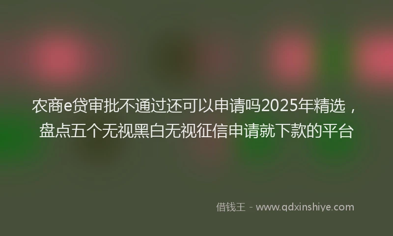 农商e贷审批不通过还可以申请吗2025年精选，盘点五个无视黑白无视征信申请就下款的平台
