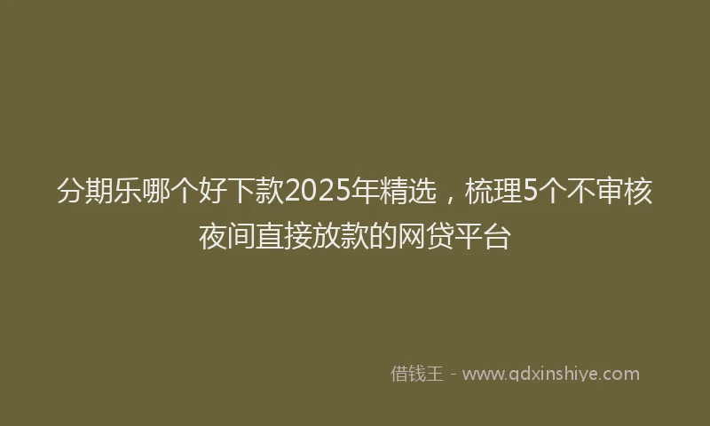 分期乐哪个好下款2025年精选，梳理5个不审核夜间直接放款的网贷平台