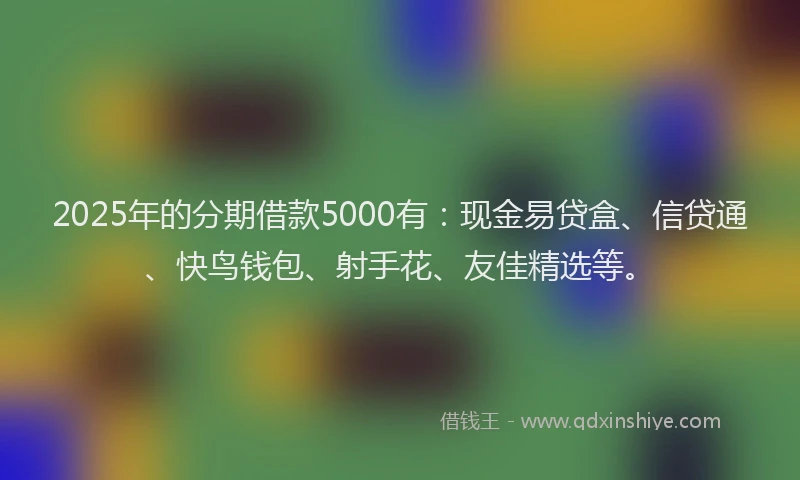 2025年的分期借款5000有：现金易贷盒、信贷通、快鸟钱包、射手花、友佳精选等。