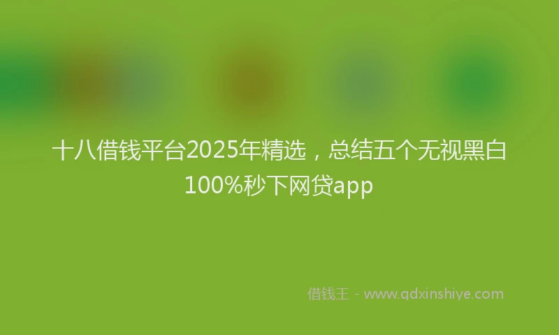 十八借钱平台2025年精选，总结五个无视黑白100%秒下网贷app