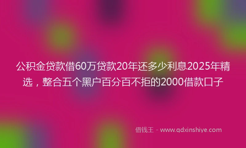 公积金贷款借60万贷款20年还多少利息2025年精选，整合五个黑户百分百不拒的2000借款口子