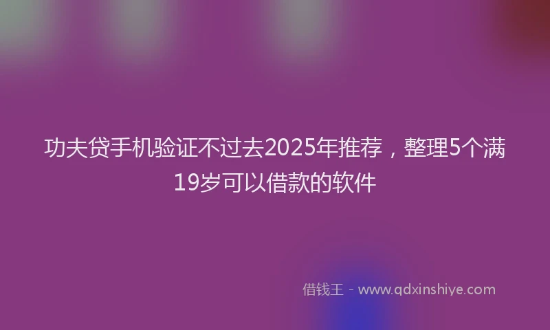 功夫贷手机验证不过去2025年推荐，整理5个满19岁可以借款的软件