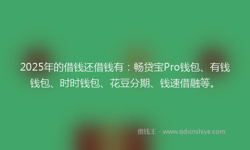 2025年的借钱还借钱有：畅贷宝Pro钱包、有钱钱包、时时钱包、花豆分期、钱速借融等。