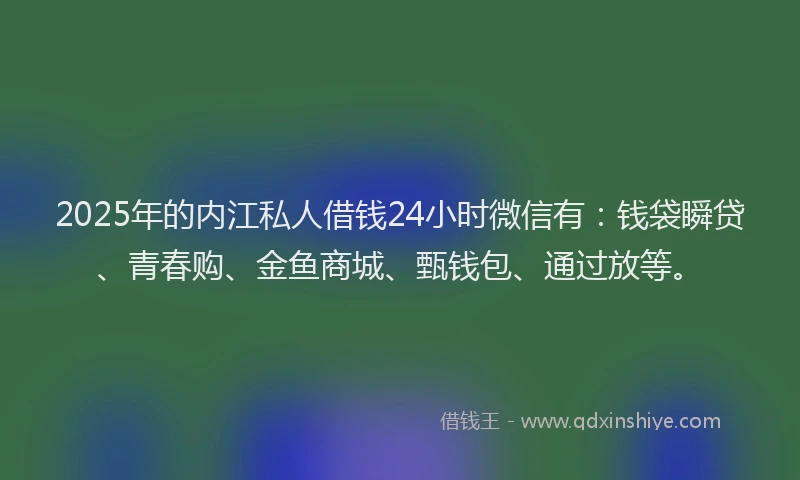 2025年的内江私人借钱24小时微信有：钱袋瞬贷、青春购、金鱼商城、甄钱包、通过放等。