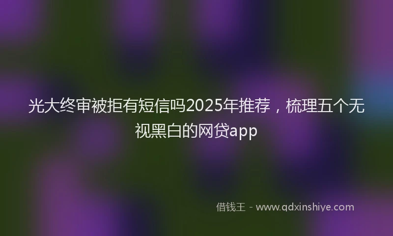 光大终审被拒有短信吗2025年推荐，梳理五个无视黑白的网贷app