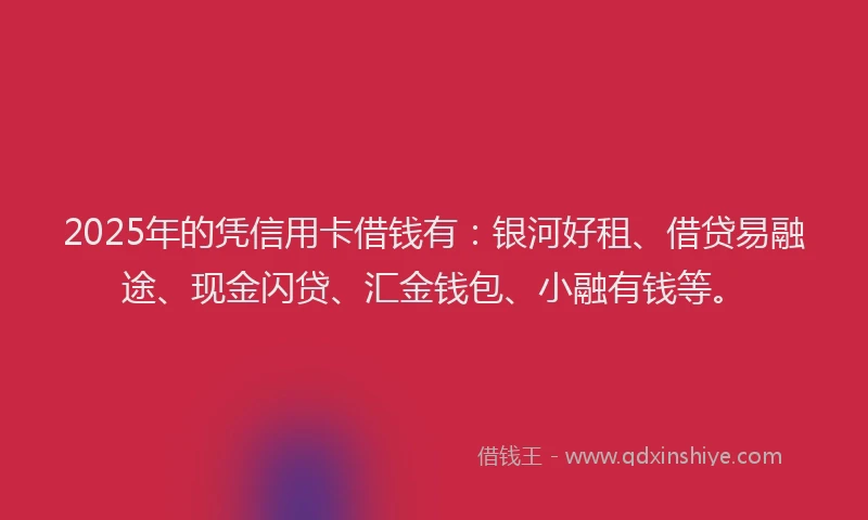 2025年的凭信用卡借钱有：银河好租、借贷易融途、现金闪贷、汇金钱包、小融有钱等。