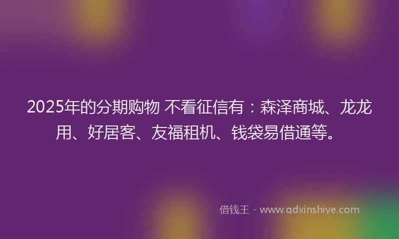 2025年的分期购物 不看征信有：森泽商城、龙龙用、好居客、友福租机、钱袋易借通等。