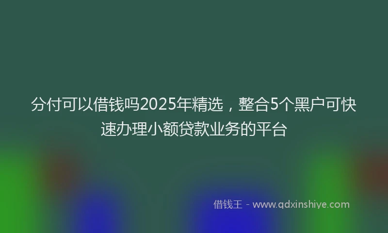分付可以借钱吗2025年精选，整合5个黑户可快速办理小额贷款业务的平台