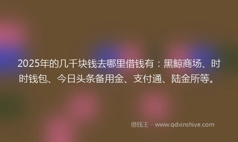 2025年的几千块钱去哪里借钱有：黑鲸商场、时时钱包、今日头条备用金、支付通、陆金所等。