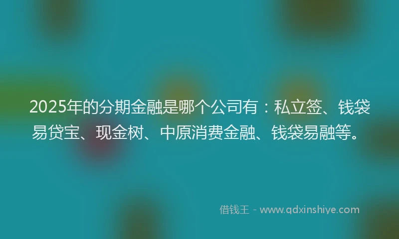 2025年的分期金融是哪个公司有：私立签、钱袋易贷宝、现金树、中原消费金融、钱袋易融等。