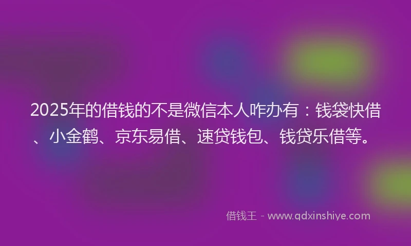 2025年的借钱的不是微信本人咋办有：钱袋快借、小金鹤、京东易借、速贷钱包、钱贷乐借等。